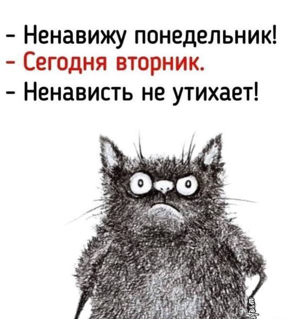 - Ненавижу понедельник!
- Сегодня вторник.
- Ненависть не утихает!