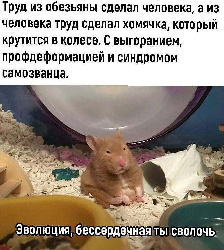 Труд из обезьяны сделал человека, а из человека труд сделал хомячка, который крутится в колесе. С выгоранием, профдеформацией и синдромом самозванца.
Эволюция, бессердечная ты сволочь.