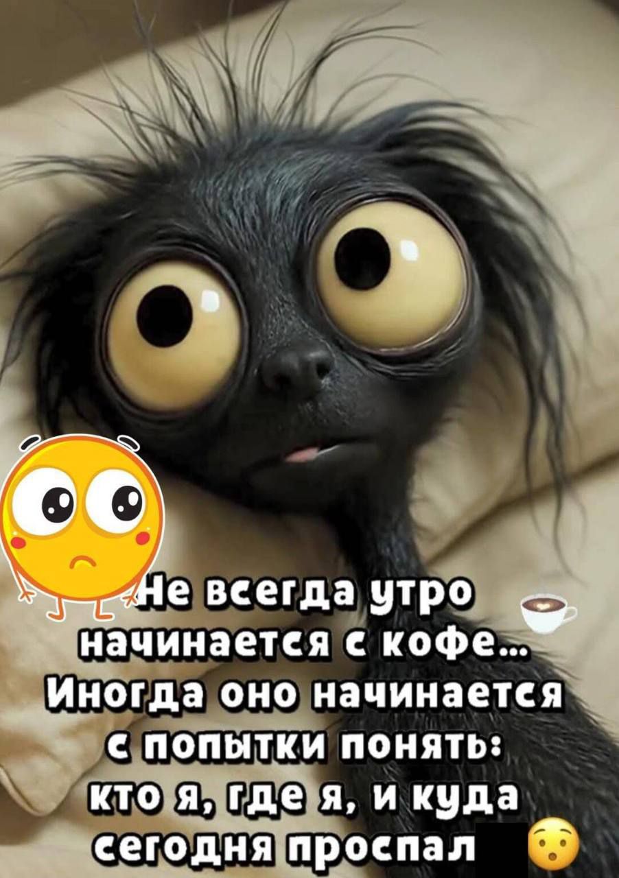 Не всегда утро начинается с кофе... Иногда оно начинается с попытки понять: кто я, где я, и куда сегодня проспал.