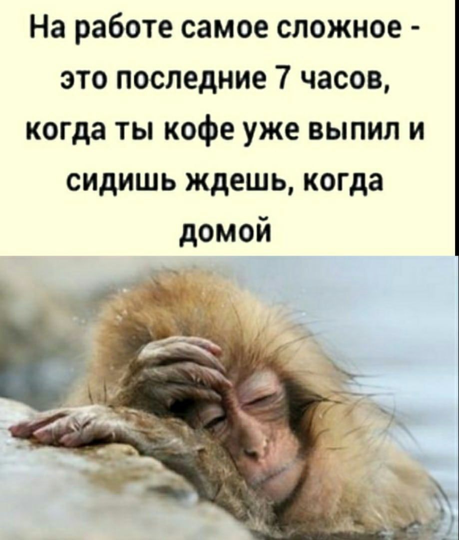На работе самое сложное - это последние 7 часов, когда ты кофе уже выпил и сидишь ждешь, когда домой.