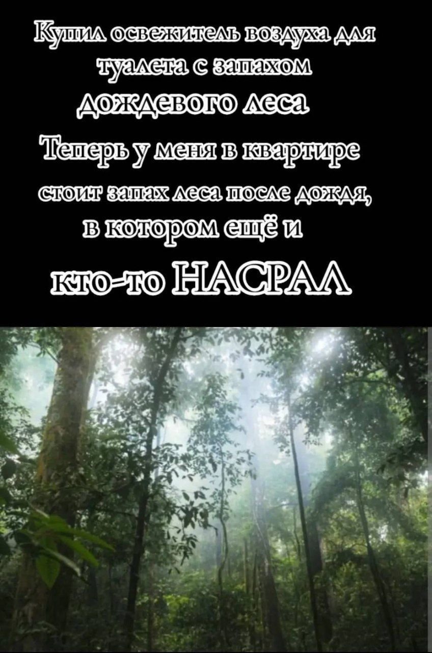 Купил освежитель воздуха для туалета с запахом дождевого леса
Теперь у меня в квартире
стоит запах леса после дождя,
в котором ещё и
кто-то НАСРАЛ