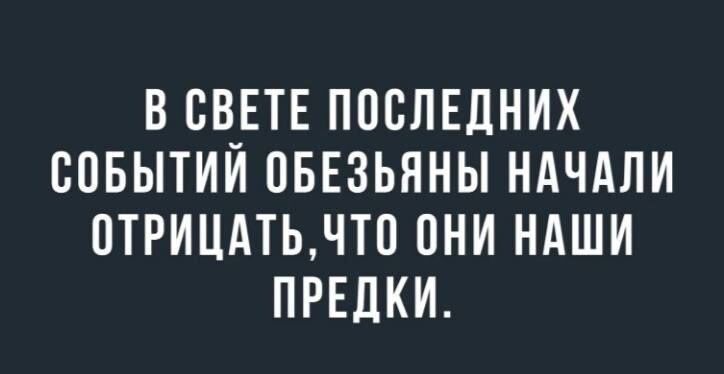 В свете последних событий обезьяны начали отрицать, что они наши предки.