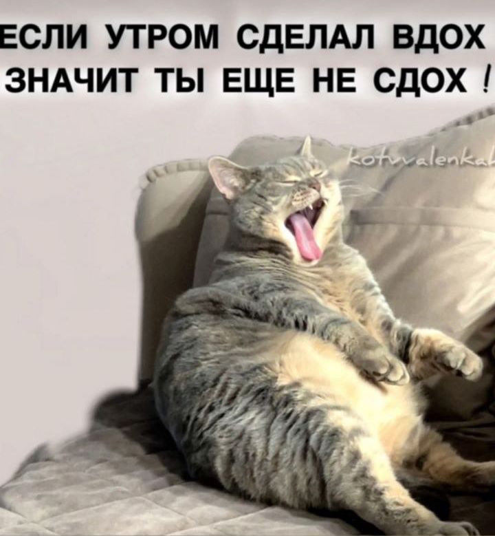 Если утром сделал вдох, значит ты еще не сдох!