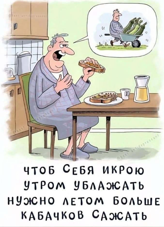 ЧТОБ СЕБЯ ИКРОЮ УТРОМ УБЛАЖАТЬ НУЖНО ЛЕТОМ БОЛЬШЕ КАБАЧКОВ САЖАТЬ