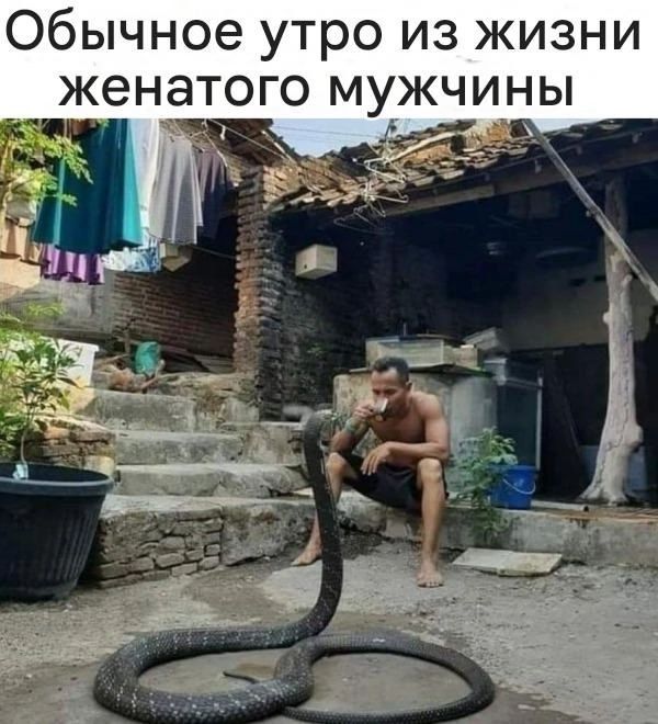 Обычное утро из жизни женатого мужчины