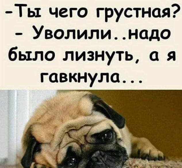 - Ты чего грустная? - Уволили..надо было лизнуть, а я гавкнула...