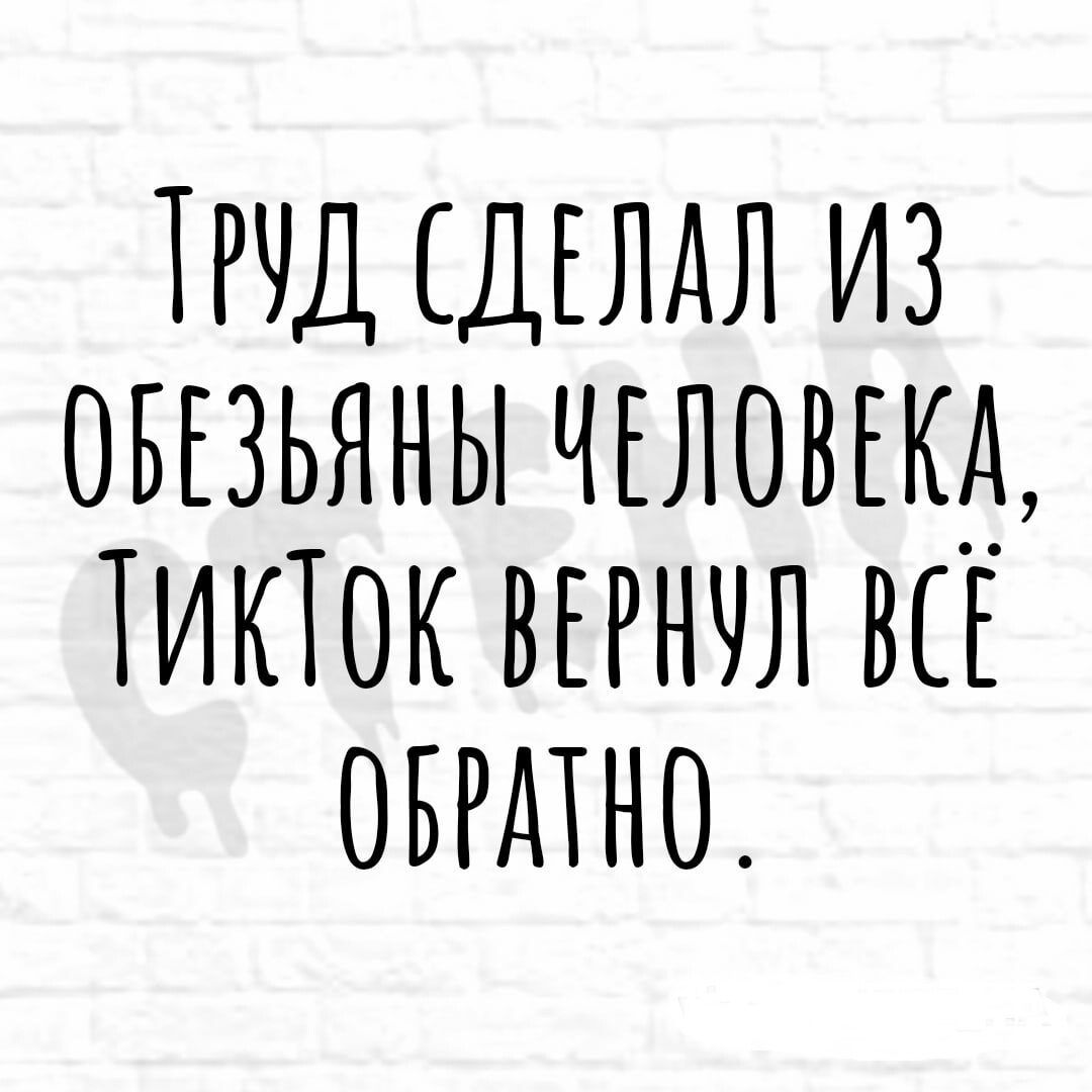 Труд сделал из обезьяны человека, ТикТок вернул всё обратно.