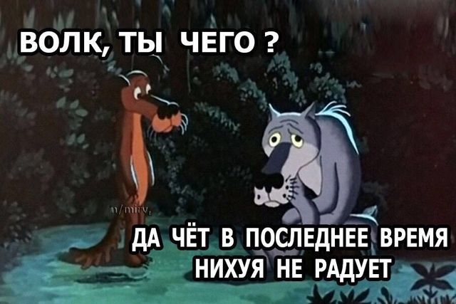 ВОЛК, ТЫ ЧЕГО ? ДА ЧЁТ В ПОСЛЕДНЕЕ ВРЕМЯ НИХУЯ НЕ РАДУЕТ