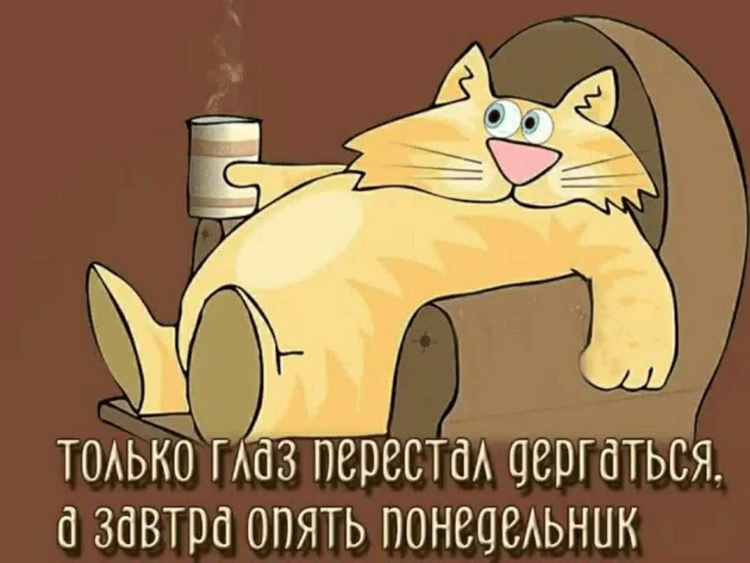 только глаз перестал дергаться, а завтра опять понедельник