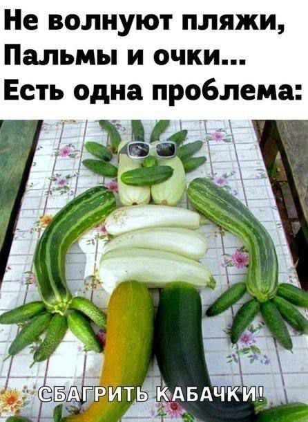 Не волнуют пляжи, Палмы и очки... Есть одна проблема: СБАГРИТЬ КАБАЧКИ!