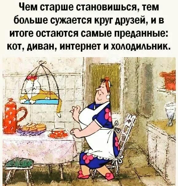 Чем старше становишься, тем больше сужается круг друзей, и в итоге остаются самые преданные: кот, диван, интернет и холодильник.