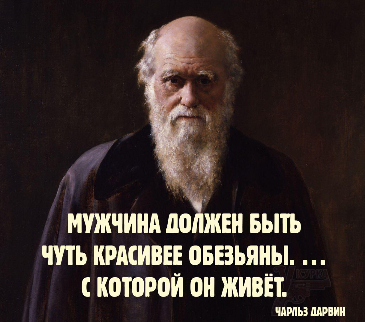 МУЖЧИНА ДОЛЖЕН БЫТЬ ЧУТЬ КРАСИВЕЕ ОБЕЗЬЯНЫ. ... С КОТОРОЙ ОН ЖИВЁТ.
ЧАРЛЬЗ ДАРВИН