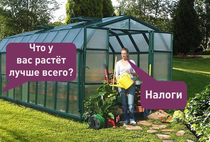 Что у вас растёт лучше всего? Налоги