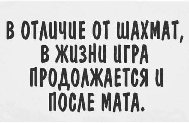 В отличие от шахмат, в жизни игра продолжается и после мата.