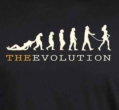 THE EVOLUTION