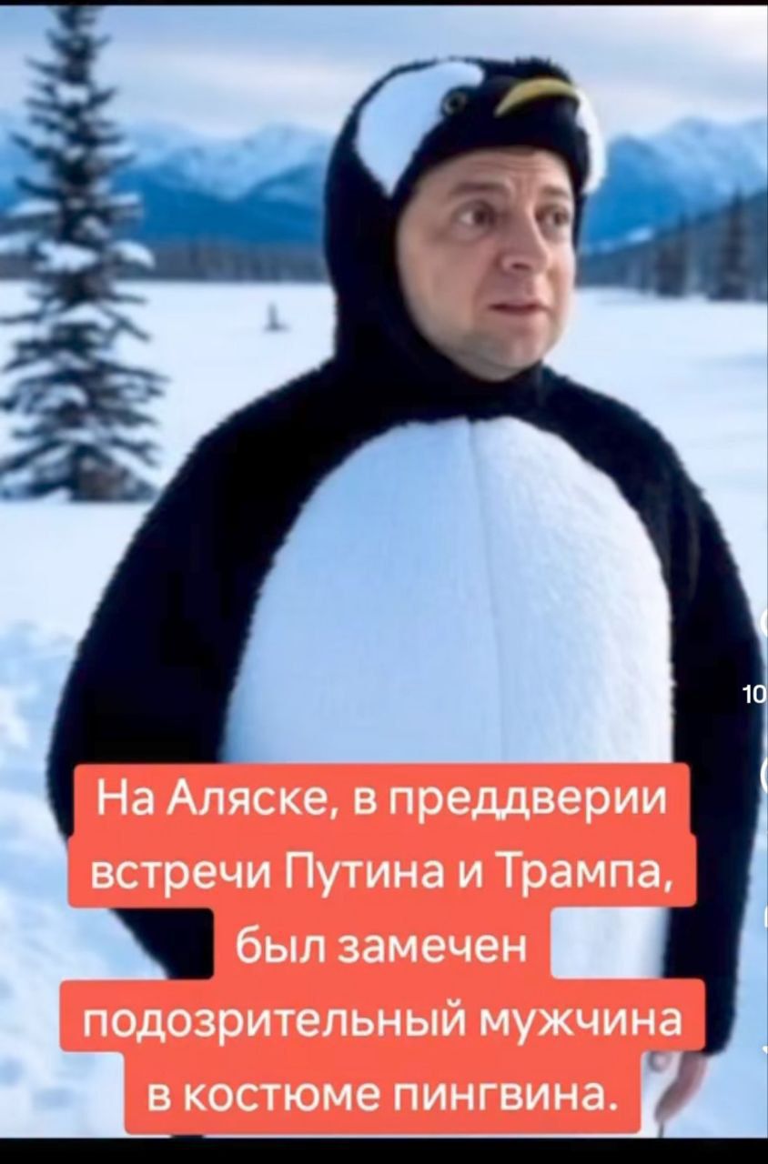 На Аляске, в преддверии встречи Путина и Трампa, был замечен подозрительный мужчина в костюме пингвина.