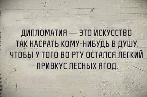 ДИПЛОМАТИЯ — ЭТО ИСКУССТВО ТАК НАСРАТЬ КОМУ-НИБУДЬ В ДУШУ, ЧТОБЫ У ТОГО ВО РТУ ОСТАЛСЯ ЛЁГКИЙ ПРИВКУС ЛЕСНЫХ ЯГОД.