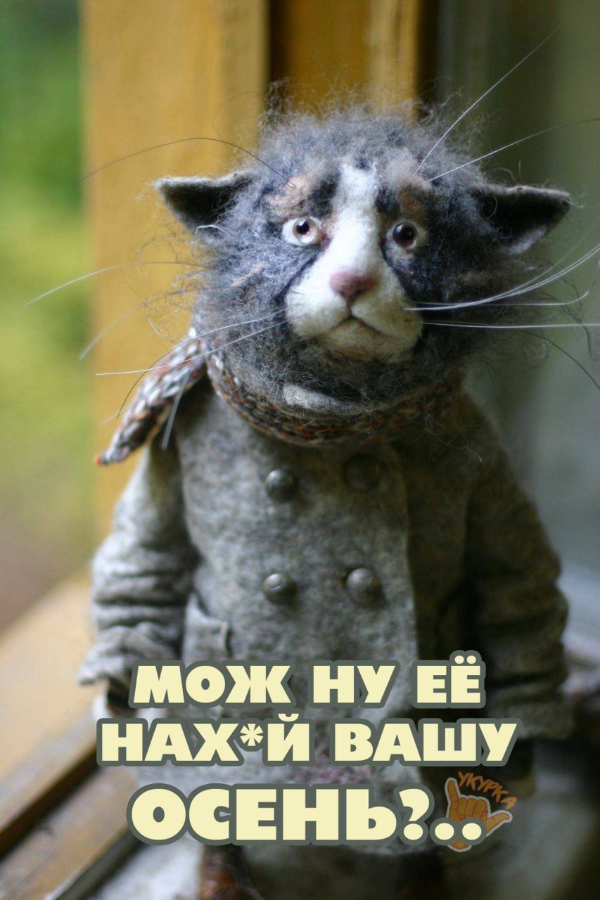 МОЖНУ ЕЁ НАХ*Й ВАШУ ОСЕНЬ?..