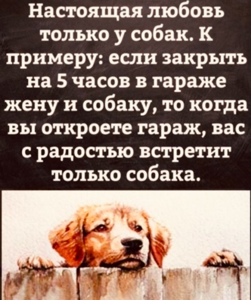 Настоящая любовь только у собак. К примеру: если закрыть на 5 часов в гараже жену и собаку, то когда вы откроете гараж, вас с радостью встретит только собака.