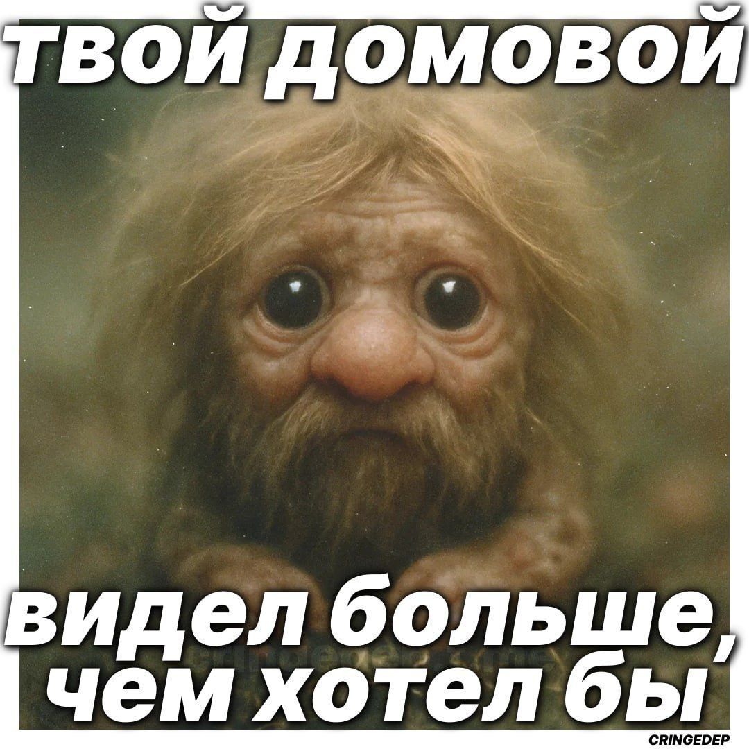 ТВОЙ ДОМОВОЙ
видел больше, чем хотел бы
