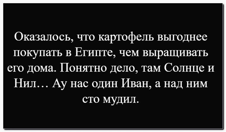 Оказалось, что картофель выгоднее покупать в Египте, чем выращивать его дома. Понятно дело, там Солнце и Нил… А у нас один Иван, а над ним сто мудил.