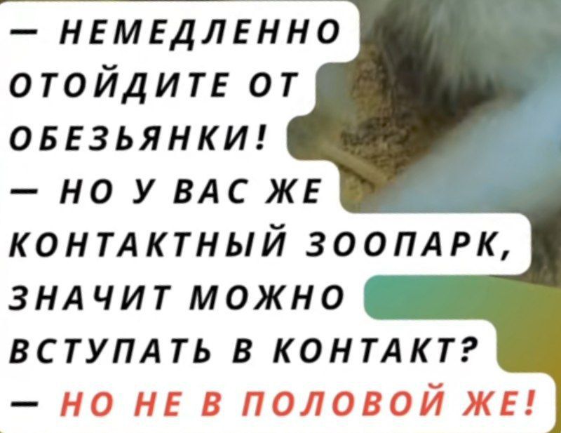 — НЕМЕДЛЕННО ОТОЙДИТЕ ОТ ОБЕЗЬЯНКИ! — НО У ВАС ЖЕ КОНТАКТНЫЙ ЗООПАРК, ЗНАЧИТ МОЖНО ВСТУПАТЬ В КОНТАКТ? — НО НЕ В ПОЛОВОЙ ЖЕ!