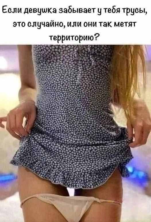 Если девушка забывает у тебя трусы, это случайно, или они так метят территорию?