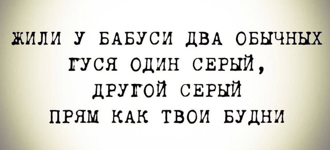 ЖИЛИ У БАБУСИ ДВА ОБЫЧНЫХ ГУСЯ ОДИН СЕРЫЙ, ДРУГОЙ СЕРЫЙ ПРЯМ КАК ТВОИ БУДНИ