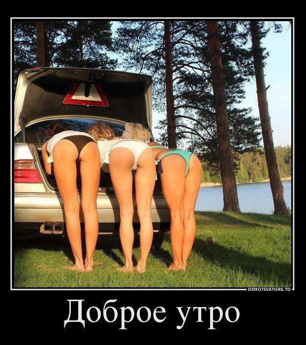 Доброе утро