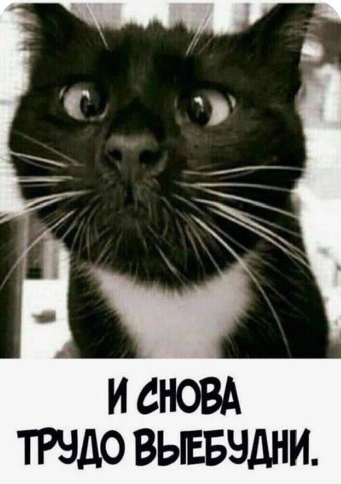 И СНОВА ТРУДНО ВЫБУДНИ.