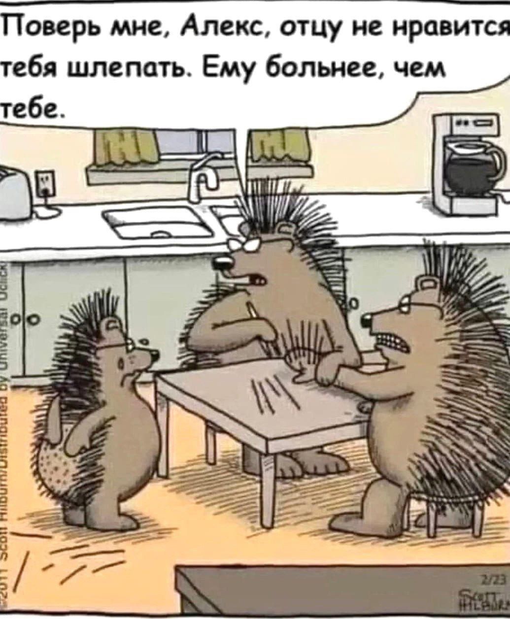 Поверь мне, Алекс, отцу не нравится тебя шлепать. Ему больнее, чем тебе.