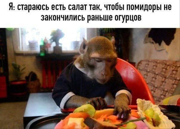 Я: стараюсь есть салат так, чтобы помидоры не закончились раньше огурцов