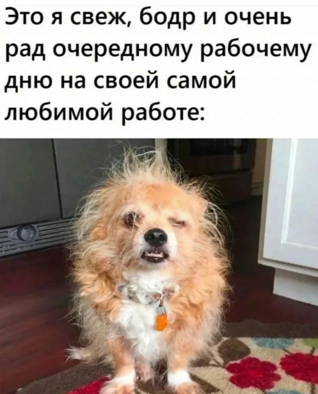 Это я свеж, бодр и очень рад очередному рабочему дню на своей самой любимой работе: