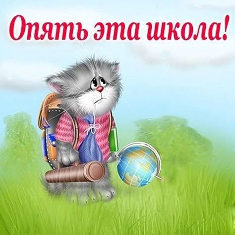 Опять эта школа!