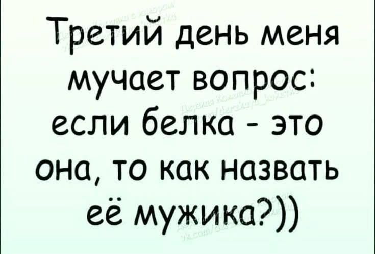 Третий день меня мучает вопрос: если белка - это она, то как назвать её мужика?))