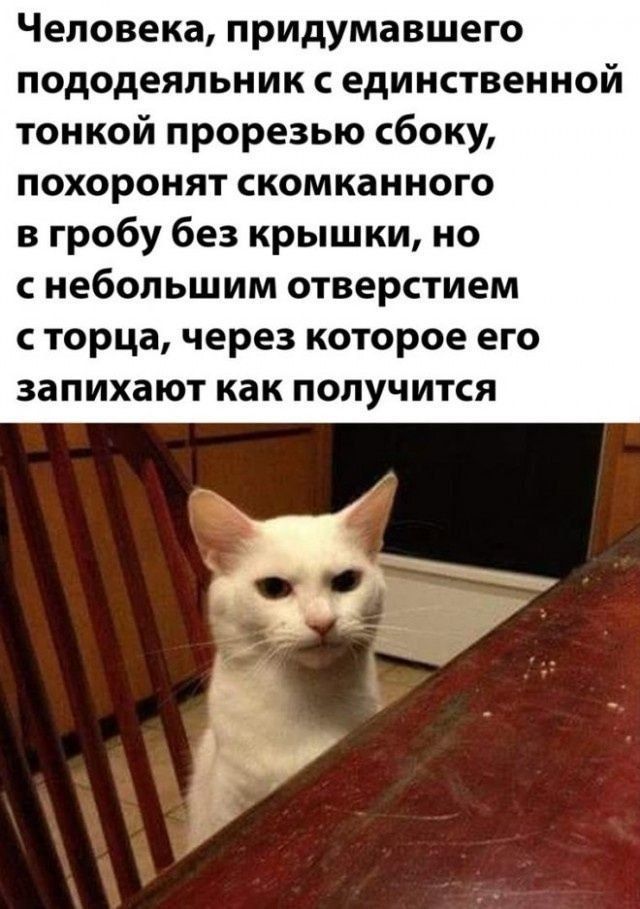 Человека, придумавшего пододеяльник с единственной тонкой прорезью сбоку, похоронят скомканного в гробу без крышки, но с небольшим отверстием с торца, через которое его запихают как получится