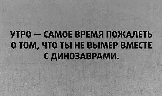 УТРО — САМое ВРЕМЯ ПОЖАЛЕТЬ О ТОМ, ЧТО ТЫ НЕ ВЫМЕР ВМЕСТЕ С ДИНОЗАВРАМИ.