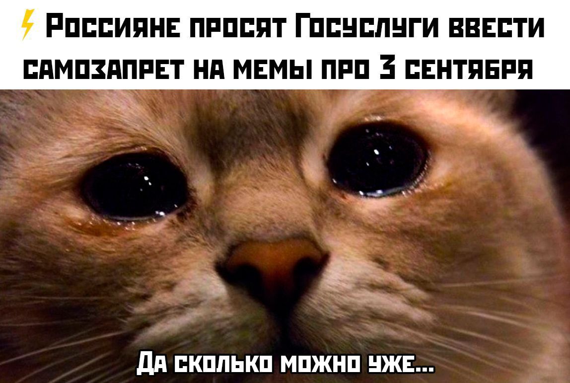Россияне попросят Госуслуги ввести самозапрет на мемы про 3 сентября
Да сколько можно уже...