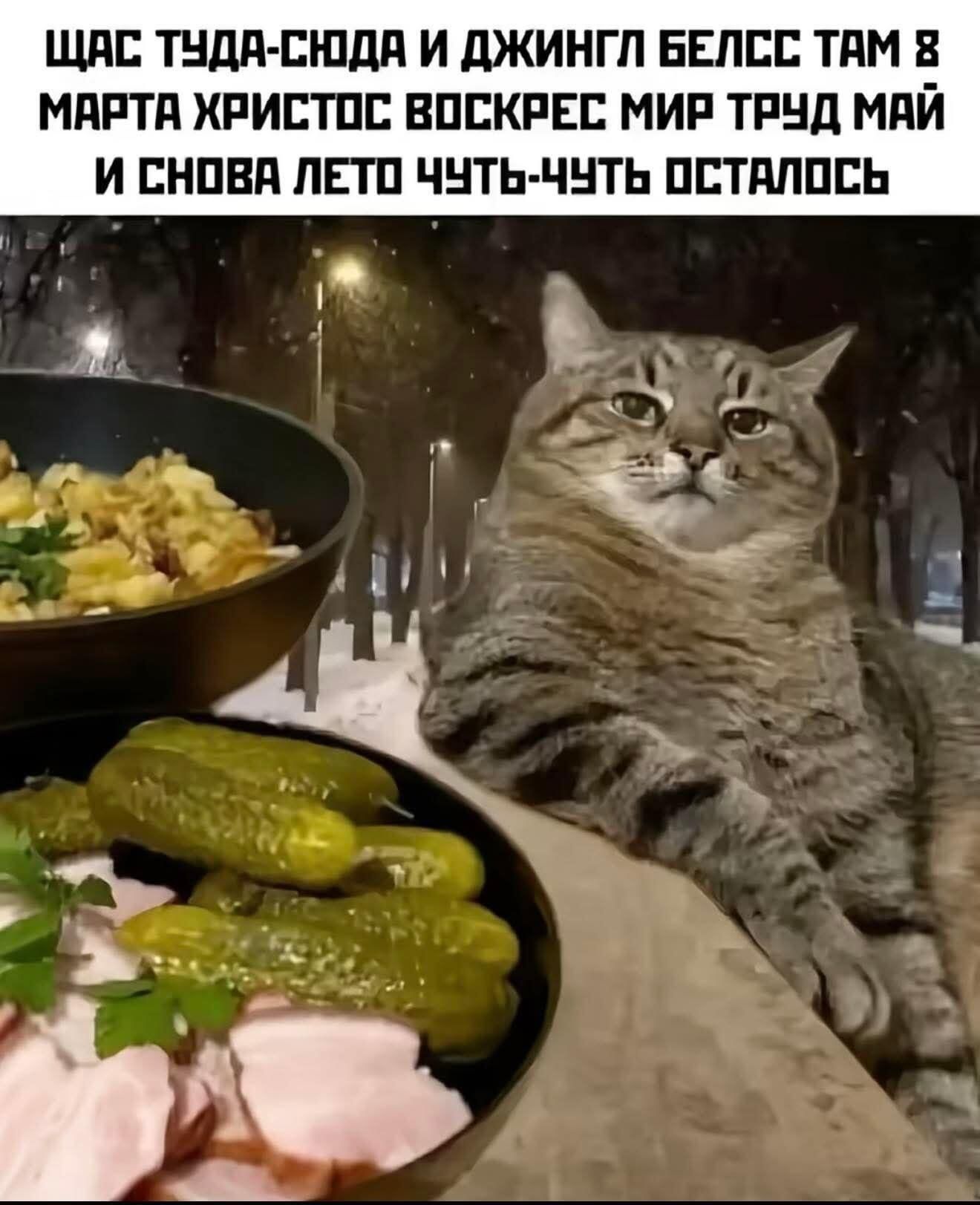ЩАС ТУДА-СЮДА И ДЖИНГЛ БЕЛСС ТАМ 8 МАРТА ХРИСТОС ВОСКРЕС МИР ТРУД МАЙ И СНОВА ЛЕТО ЧУТЬ-ЧУТЬ ОСТАЛОСЬ