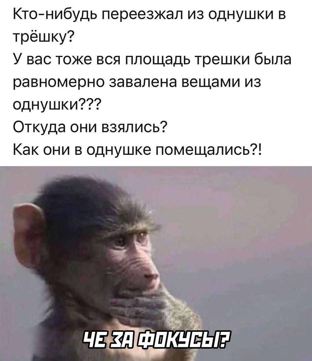 Кто-нибудь переезжал из однушки в трёшку? У вас тоже вся площадь трёшки была равномерно завалена вещами из однушки??? Откуда они взялись? Как они в однушке поместились?! Че за фокусы?