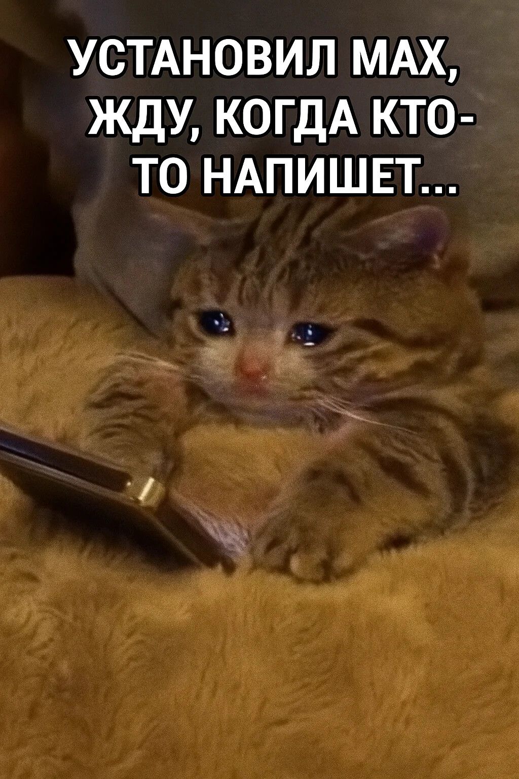 УСТАНОВИЛ МАКС, ЖДУ, КОГДА КТО-ТО НАПИШЕТ...