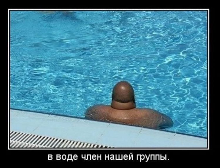 в воде член нашей группы.