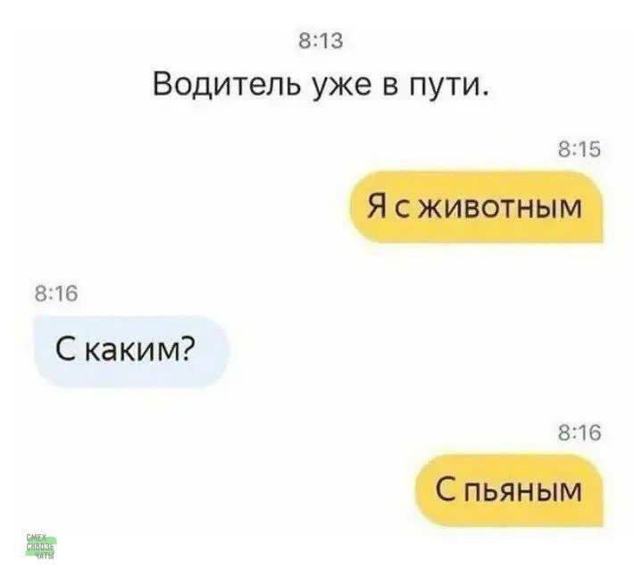 Водитель уже в пути.
Я с животным
С каким?
С пьяным