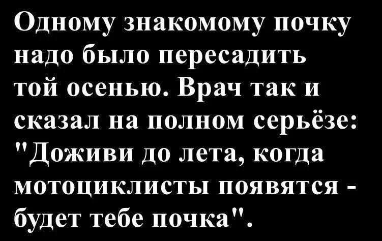 Одному знакомому почку надо было пересадить той осенью. Врач так и сказал на полном серьёзе: 