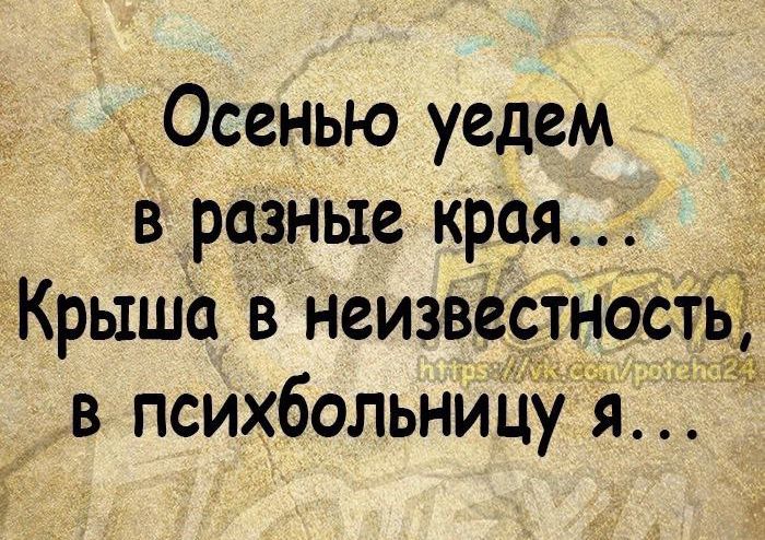 Осенью уедем
в разные края...
Крыша в неизвестность,
в психбольницу я...