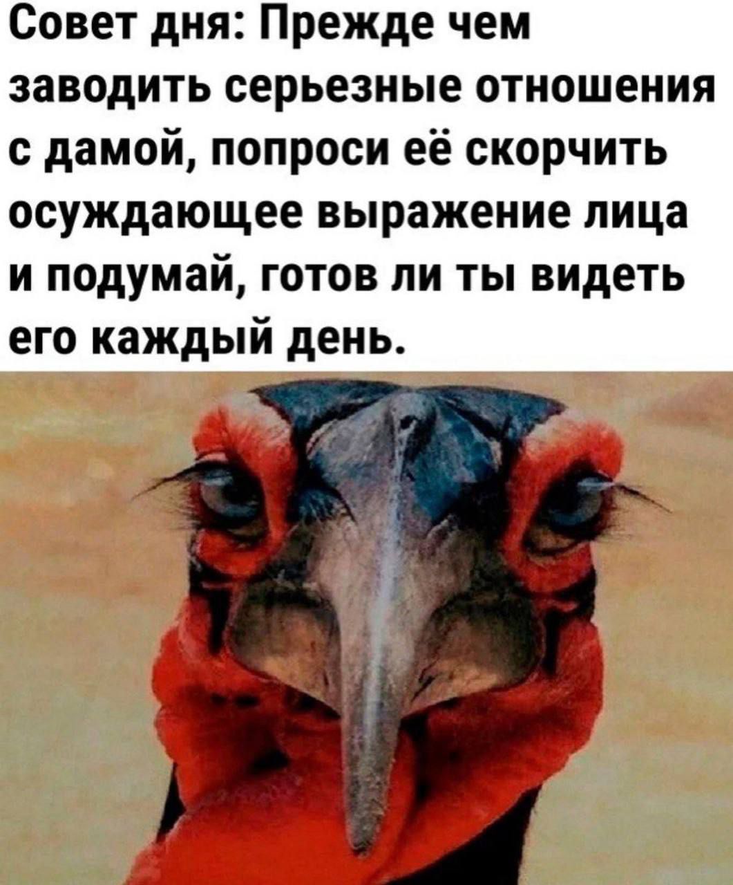 Совет дня: Прежде чем заводить серьезные отношения с дамой, попроси её сократить осуждающее выражение лица и подумай, готов ли ты видеть его каждый день.