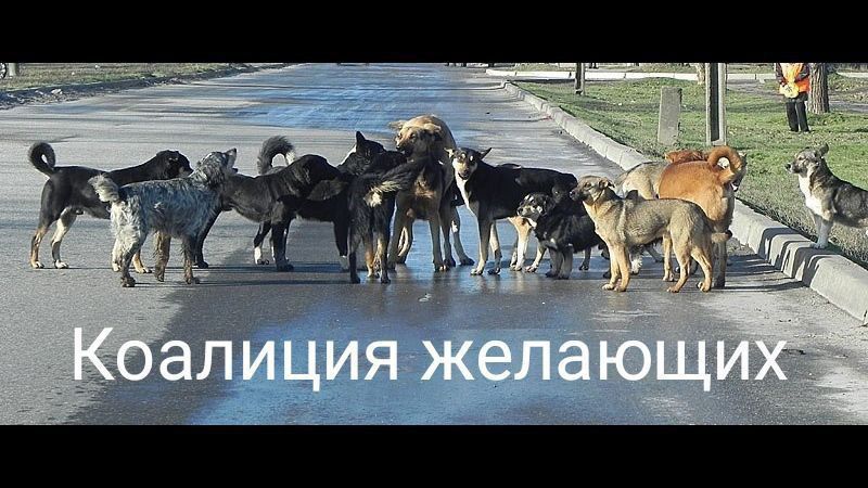Коалиция желающих