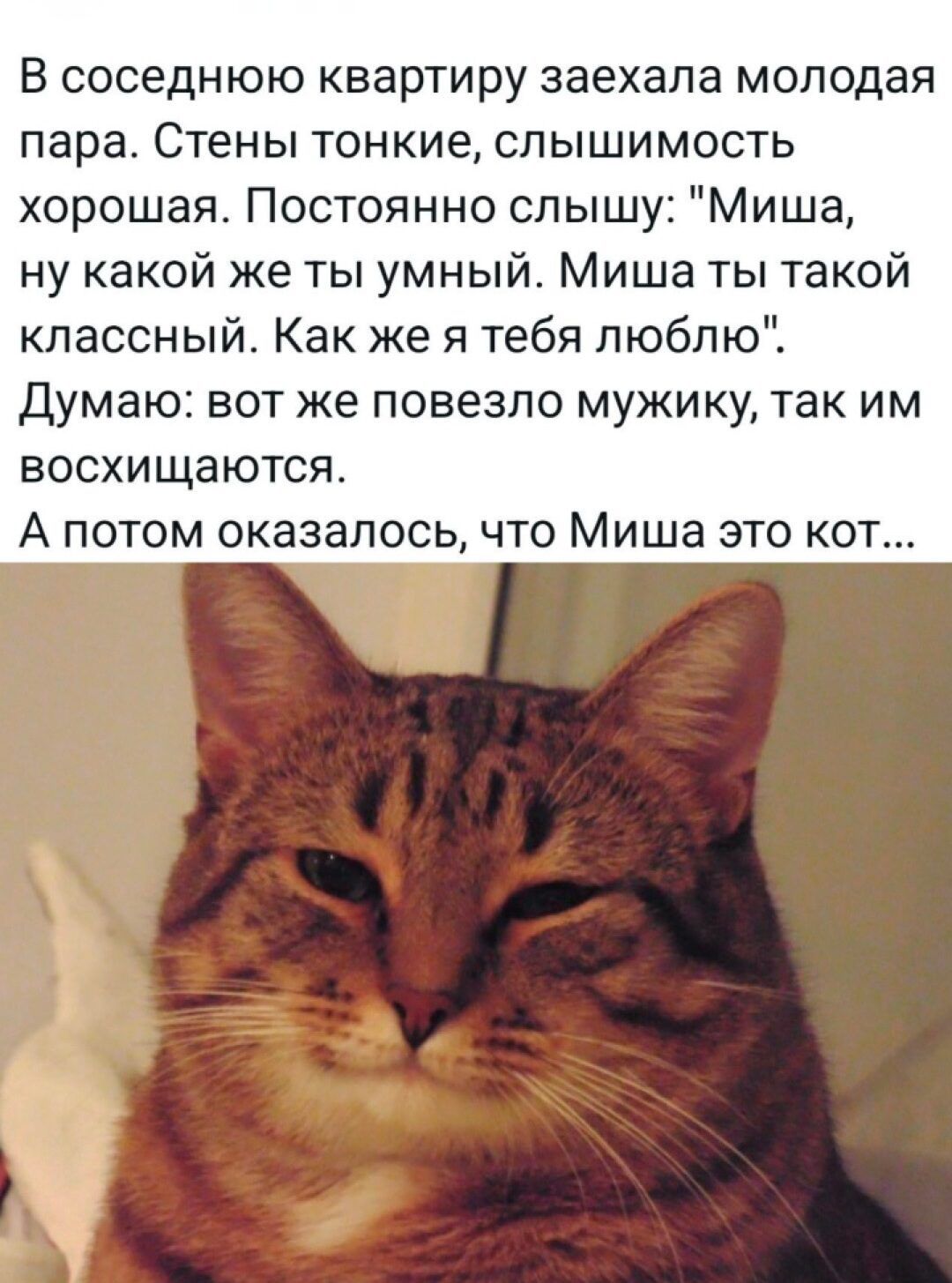 В соседнюю квартиру заехала молодая пара. Стены тонкие, слышимость хорошая. Постоянно слышу: 