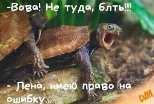 -Вова! Не туда, блять!!!
-Лена, имею право на ошибку...
