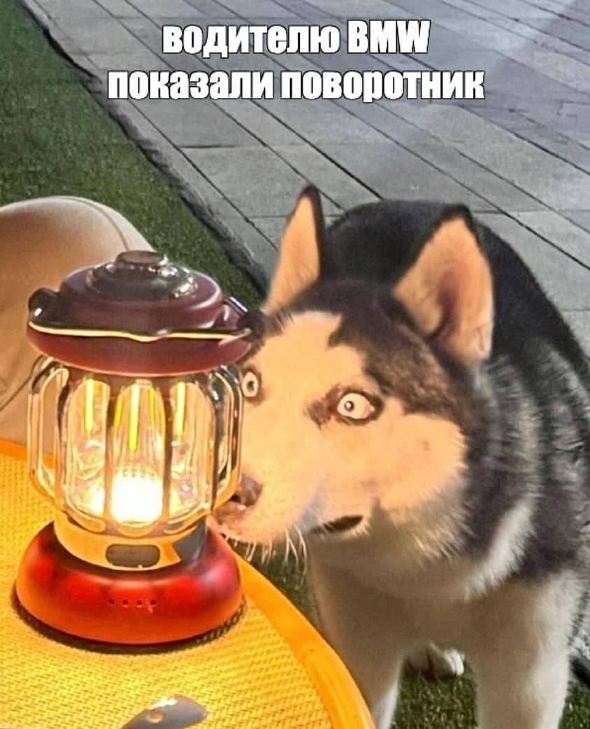 водителю BMW показали поворотник